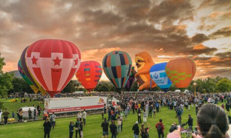 Bright and bold hot air balloons fill Canberra’s sky during the Balloon Spectacular 2025, featuring special shaped balloons like Simba the Lion and Axel the Tiger. #CanberraBalloonSpectacular #HotAirBalloon #visitcanberra #autumn #canberra #bestofcanberra #sujaysphotography #hotairballoon #takeoffhotairballoon