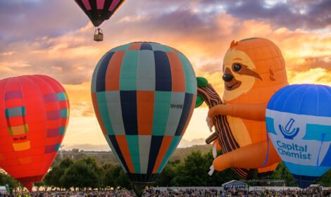 Bright and bold hot air balloons fill Canberra’s sky during the Balloon Spectacular 2025, featuring special shaped balloons like Simba the Lion and Axel the Tiger. #CanberraBalloonSpectacular #HotAirBalloon #visitcanberra #autumn #canberra #bestofcanberra #sujaysphotography #hotairballoon #takeoffhotairballoon