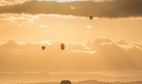 Bright and bold hot air balloons fill Canberra’s sky during the Balloon Spectacular 2025, featuring special shaped balloons like Simba the Lion and Axel the Tiger. #CanberraBalloonSpectacular #HotAirBalloon #visitcanberra #autumn #canberra #bestofcanberra #sujaysphotography #hotairballoon #takeoffhotairballoon