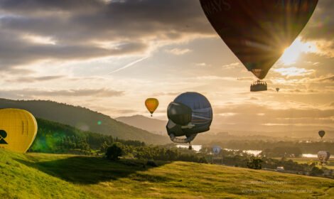 Bright and bold hot air balloons fill Canberra’s sky during the Balloon Spectacular 2025, featuring special shaped balloons like Simba the Lion and Axel the Tiger. #CanberraBalloonSpectacular #HotAirBalloon #visitcanberra #autumn #canberra #bestofcanberra #sujaysphotography #hotairballoon #takeoffhotairballoon