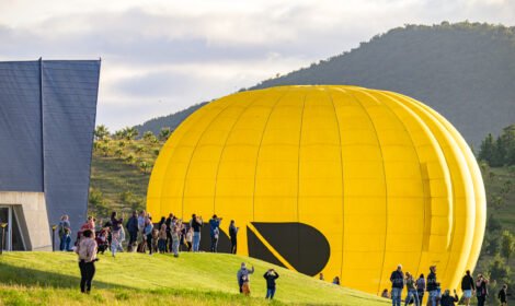 Bright and bold hot air balloons fill Canberra’s sky during the Balloon Spectacular 2025, featuring special shaped balloons like Simba the Lion and Axel the Tiger. #CanberraBalloonSpectacular #HotAirBalloon #visitcanberra #autumn #canberra #bestofcanberra #sujaysphotography #hotairballoon #takeoffhotairballoon