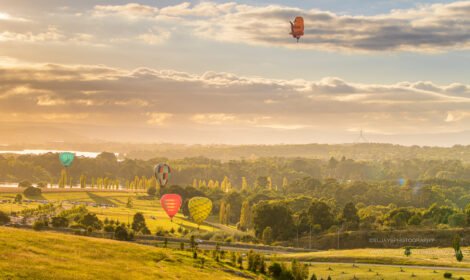 Bright and bold hot air balloons fill Canberra’s sky during the Balloon Spectacular 2025, featuring special shaped balloons like Simba the Lion and Axel the Tiger. #CanberraBalloonSpectacular #HotAirBalloon #visitcanberra #autumn #canberra #bestofcanberra #sujaysphotography #hotairballoon #takeoffhotairballoon