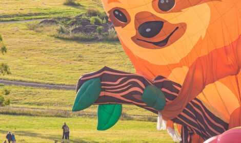 Bright and bold hot air balloons fill Canberra’s sky during the Balloon Spectacular 2025, featuring special shaped balloons like Simba the Lion and Axel the Tiger. #CanberraBalloonSpectacular #HotAirBalloon #visitcanberra #autumn #canberra #bestofcanberra #sujaysphotography #hotairballoon #takeoffhotairballoon