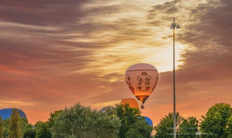 Bright and bold hot air balloons fill Canberra’s sky during the Balloon Spectacular 2025, featuring special shaped balloons like Simba the Lion and Axel the Tiger. #CanberraBalloonSpectacular #HotAirBalloon #visitcanberra #autumn #canberra #bestofcanberra #sujaysphotography #hotairballoon #takeoffhotairballoon