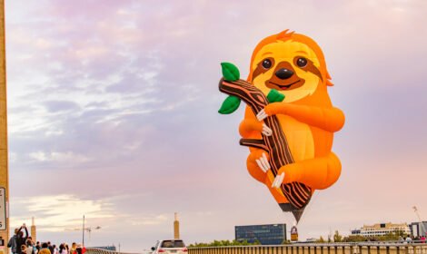 Bright and bold hot air balloons fill Canberra’s sky during the Balloon Spectacular 2025, featuring special shaped balloons like Simba the Lion and Axel the Tiger. #CanberraBalloonSpectacular #HotAirBalloon #visitcanberra #autumn #canberra #bestofcanberra #sujaysphotography #hotairballoon #takeoffhotairballoon