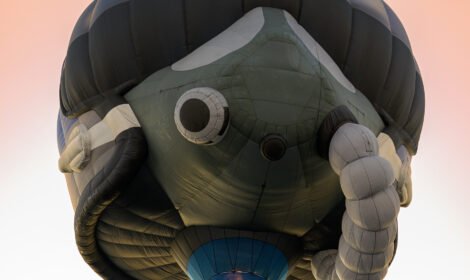 Bright and bold hot air balloons fill Canberra’s sky during the Balloon Spectacular 2025, featuring special shaped balloons like Simba the Lion and Axel the Tiger. #CanberraBalloonSpectacular #HotAirBalloon #visitcanberra #autumn #canberra #bestofcanberra #sujaysphotography #hotairballoon #takeoffhotairballoon