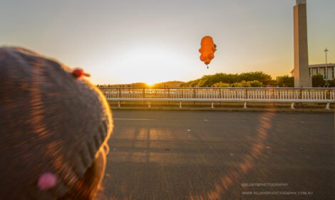 Bright and bold hot air balloons fill Canberra’s sky during the Balloon Spectacular 2025, featuring special shaped balloons like Simba the Lion and Axel the Tiger. #CanberraBalloonSpectacular #HotAirBalloon #visitcanberra #autumn #canberra #bestofcanberra #sujaysphotography #hotairballoon #takeoffhotairballoon