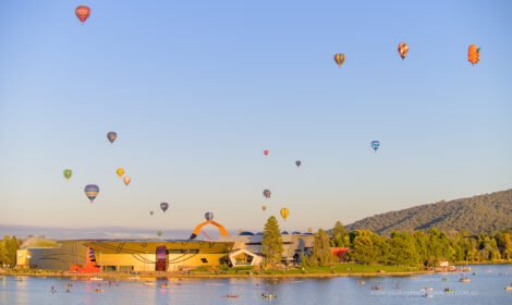 Bright and bold hot air balloons fill Canberra’s sky during the Balloon Spectacular 2025, featuring special shaped balloons like Simba the Lion and Axel the Tiger. #CanberraBalloonSpectacular #HotAirBalloon #visitcanberra #autumn #canberra #bestofcanberra #sujaysphotography #hotairballoon #takeoffhotairballoon