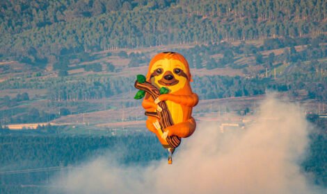 Bright and bold hot air balloons fill Canberra’s sky during the Balloon Spectacular 2025, featuring special shaped balloons like Simba the Lion and Axel the Tiger. #CanberraBalloonSpectacular #HotAirBalloon #visitcanberra #autumn #canberra #bestofcanberra #sujaysphotography #hotairballoon #takeoffhotairballoon