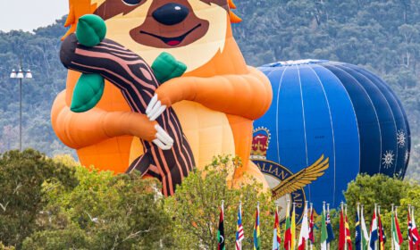 Bright and bold hot air balloons fill Canberra’s sky during the Balloon Spectacular 2025, featuring special shaped balloons like Simba the Lion and Axel the Tiger. #CanberraBalloonSpectacular #HotAirBalloon #visitcanberra #autumn #canberra #bestofcanberra #sujaysphotography #hotairballoon #takeoffhotairballoon