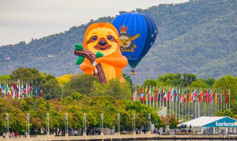 Bright and bold hot air balloons fill Canberra’s sky during the Balloon Spectacular 2025, featuring special shaped balloons like Simba the Lion and Axel the Tiger. #CanberraBalloonSpectacular #HotAirBalloon #visitcanberra #autumn #canberra #bestofcanberra #sujaysphotography #hotairballoon #takeoffhotairballoon